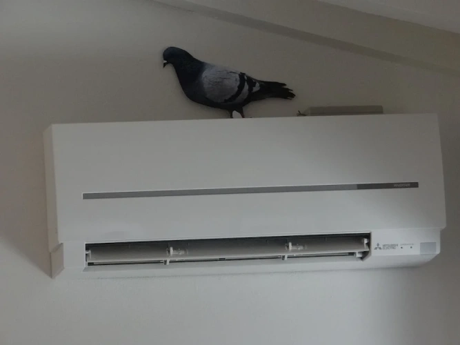 2 Bedrooms Superior Apartment