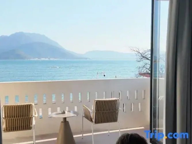 Standard Double room with balcony and with sea view