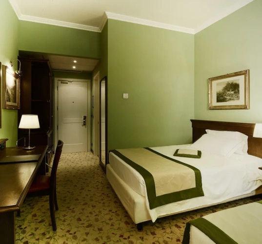 Economy Twin room
