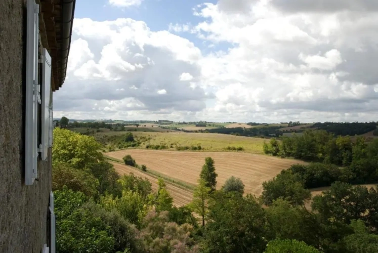 Superior Double room with garden view