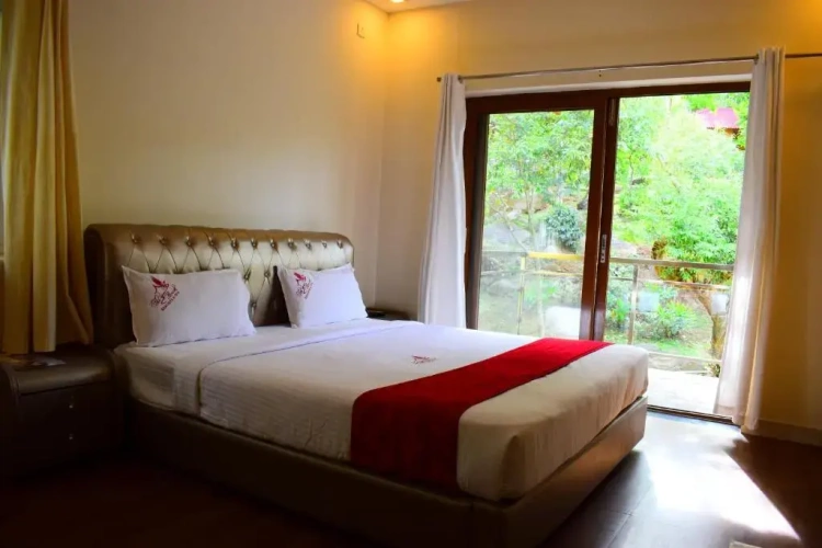 Standard Double room with garden view