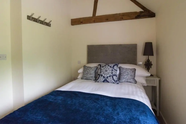 Deluxe Double room with view