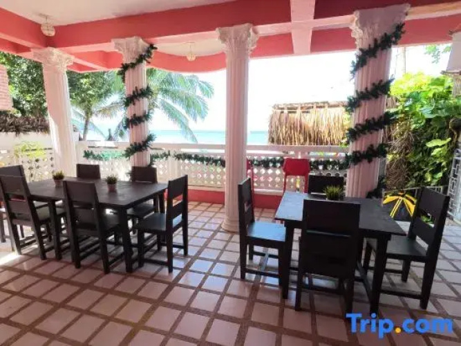 FreeDive Inn