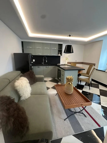 Unique Losone Apartment