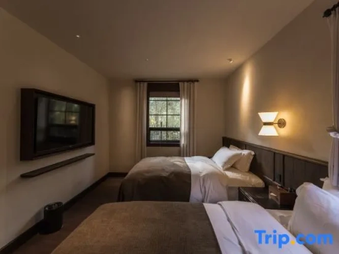 Twin Suite