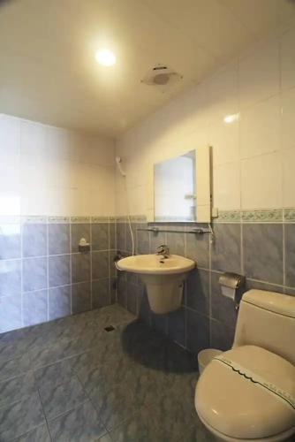 Standard Double room with balcony and with mountain view