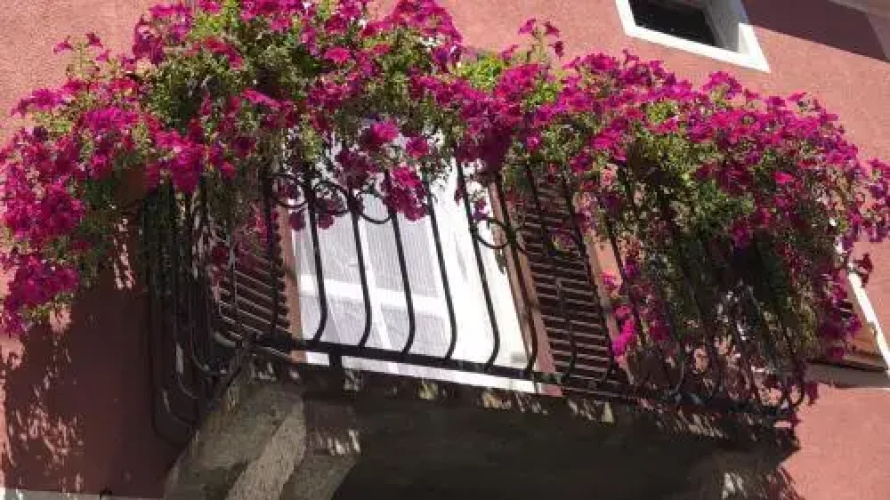 La Casa Del Colonnello