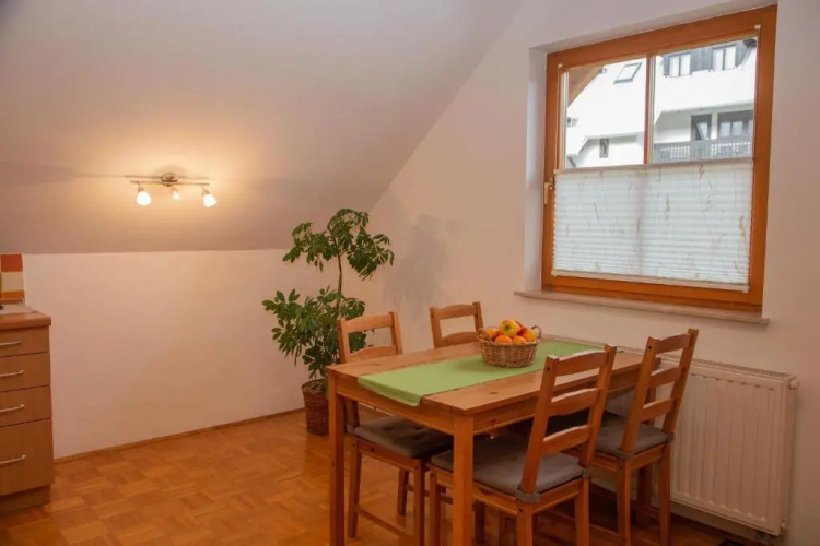 Apartment Janko Rožič