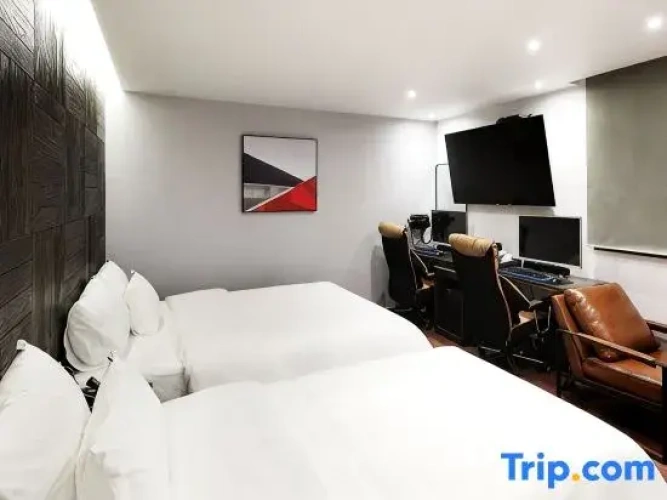 Twin Suite