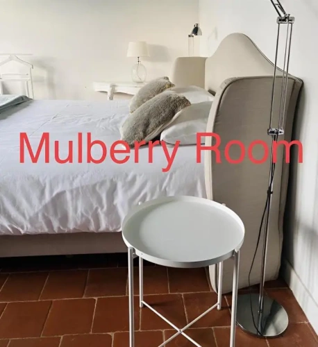 Superior Double Suite