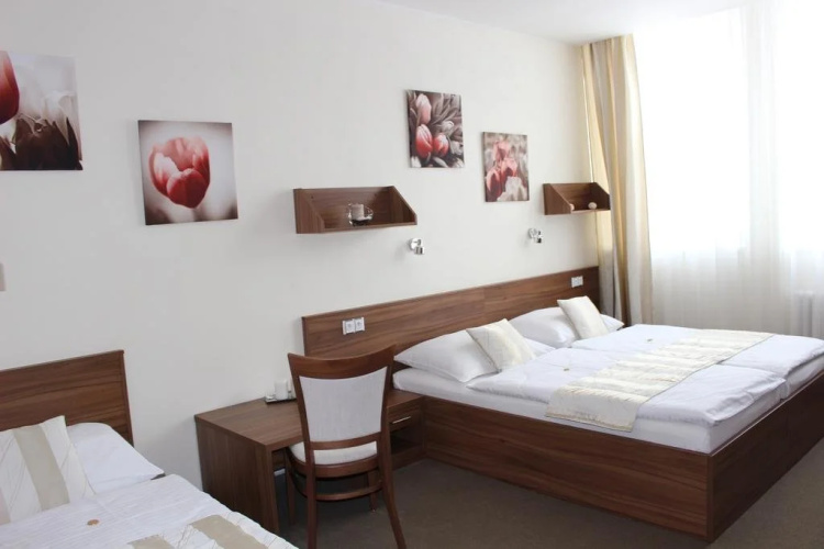 Hotel u Ledu