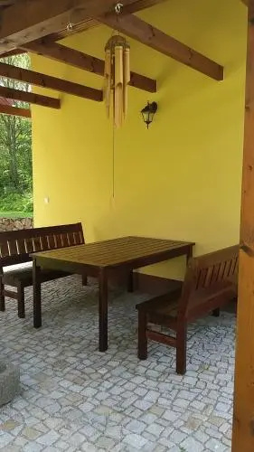 Olšina