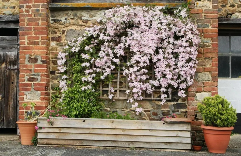 Brook Farmhouse