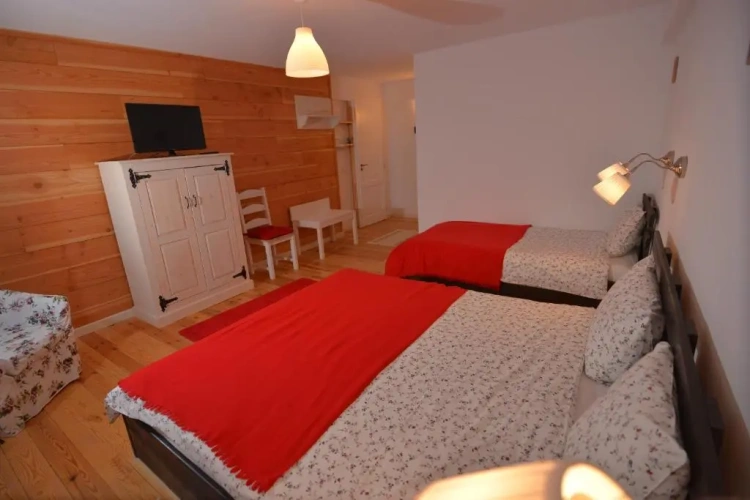 Standard Triple room