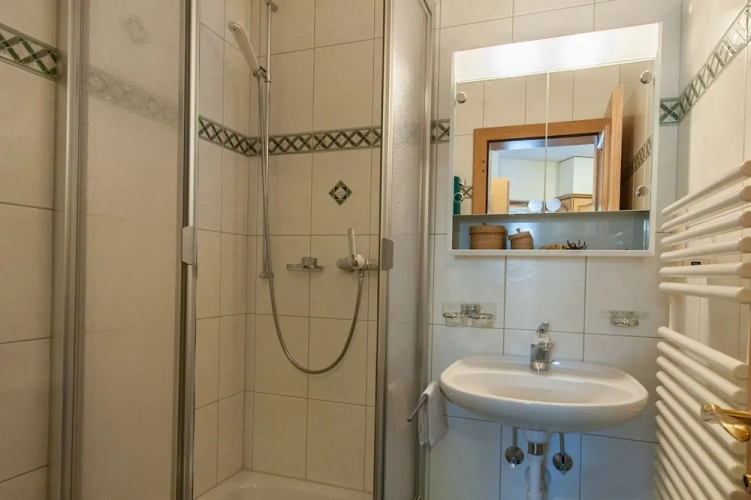 1 Bedroom Standard Basement room