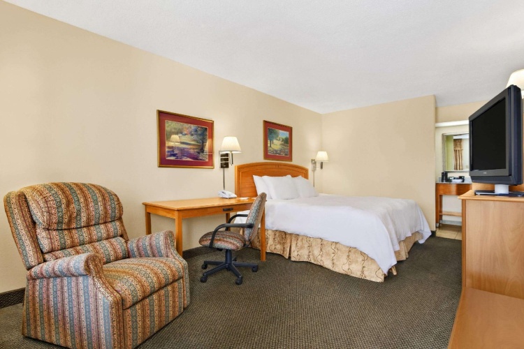 Standard Double room
