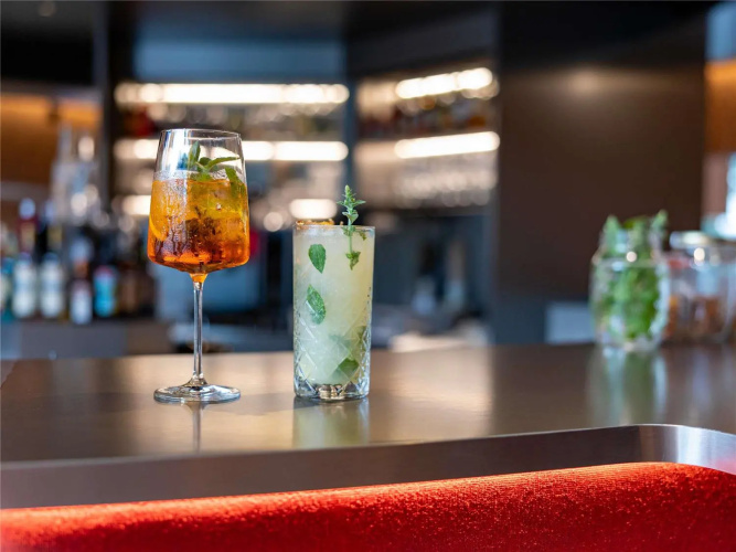 Novotel Zurich City West photo 12