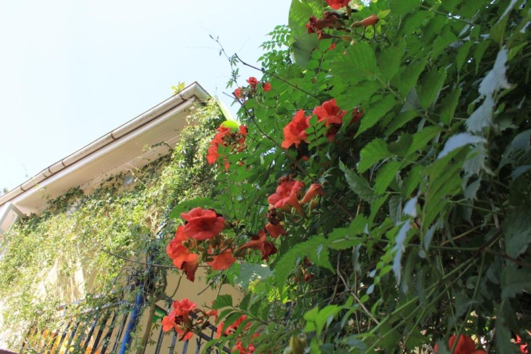Outside