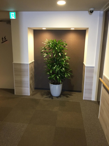 Hotel Oxio