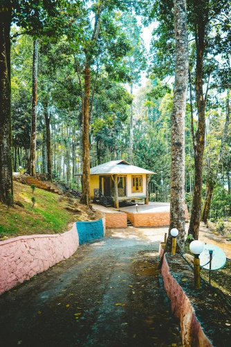 Vythiri Wild Forest Resort