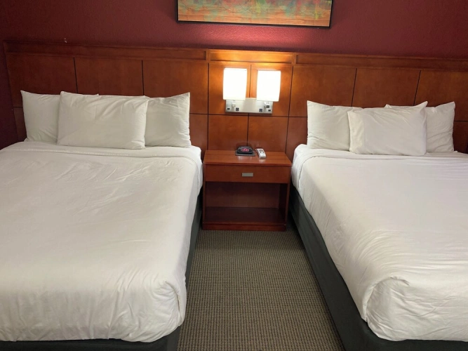 Deluxe Quadruple Basement Suite