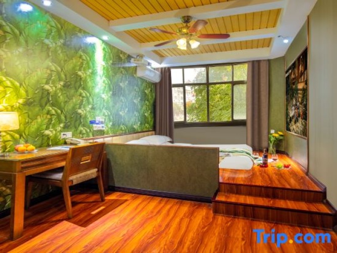 Standard Double room with city view