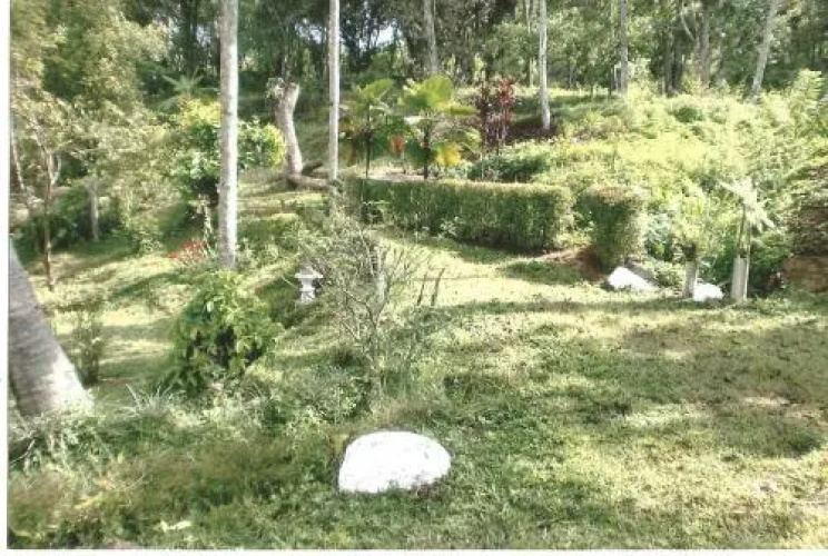 Cool Spring Rest Guesthouse