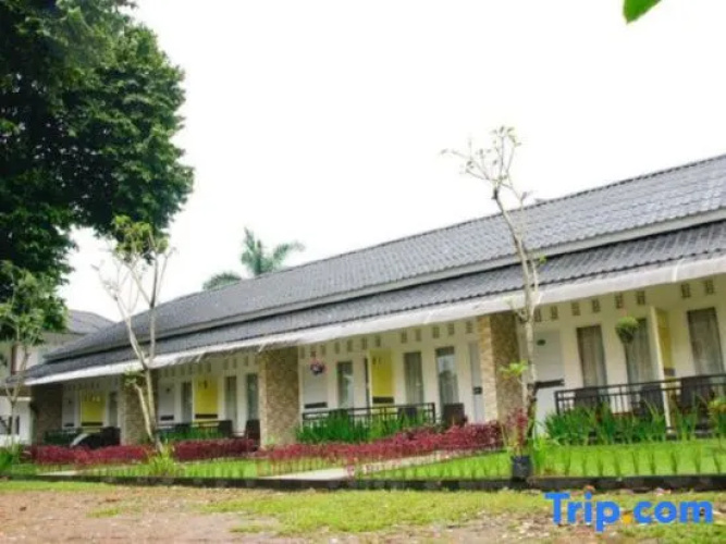 Hotel New Ayuda 2