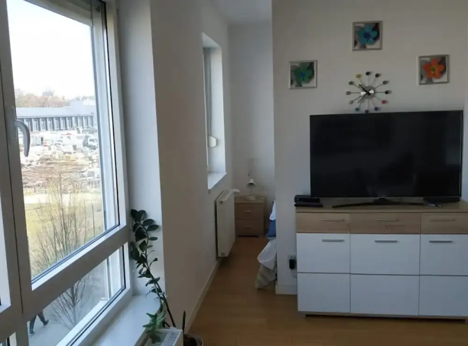 Apartment Cankareva