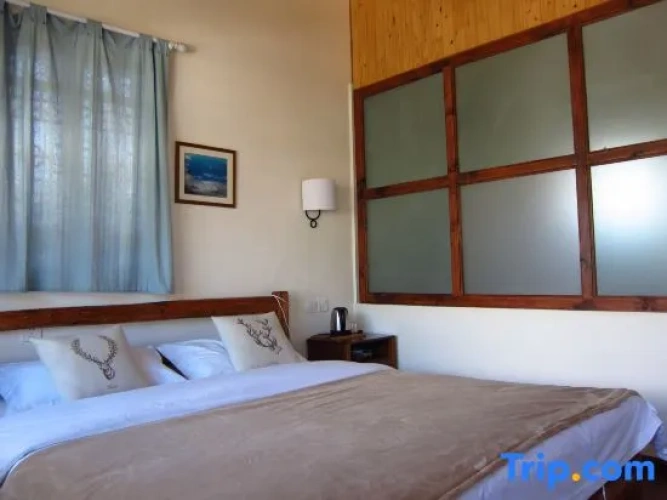 Standard room with courtyard view
