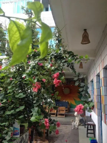 Wonderful Time Youth Hostel