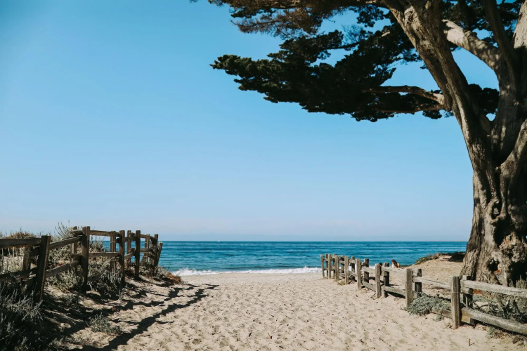 The Inn at Del Monte Beach