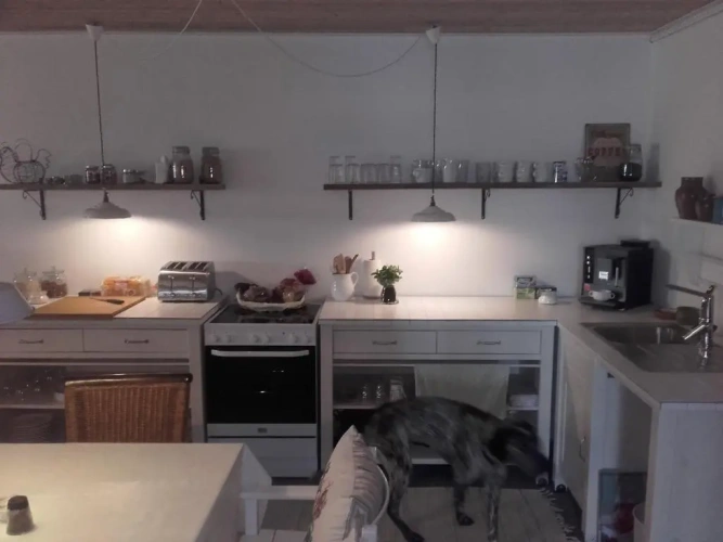 Classic Quadruple room
