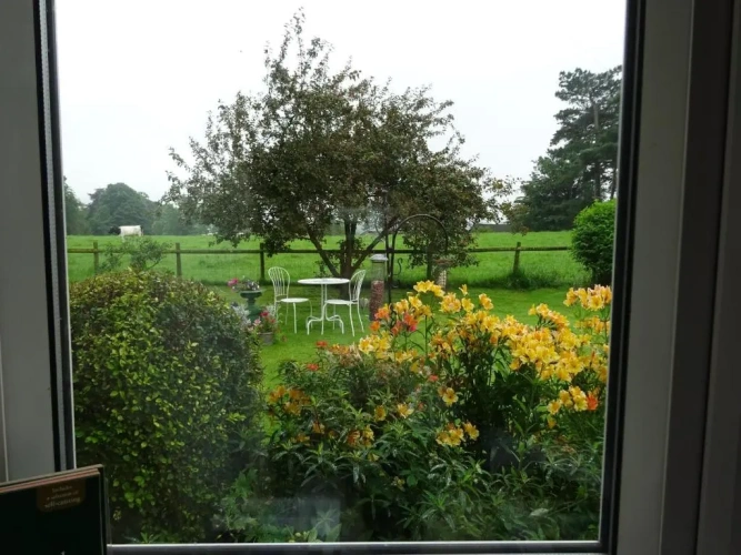 Standard Double room with view