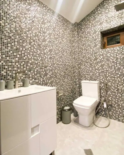 Amazing Villa in Bakuriani