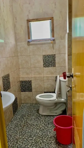 Mischa Hostel