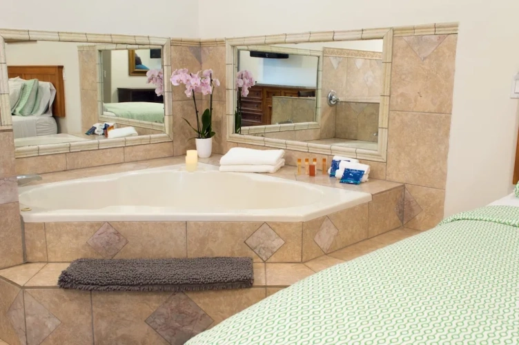 Deluxe Double Basement Suite