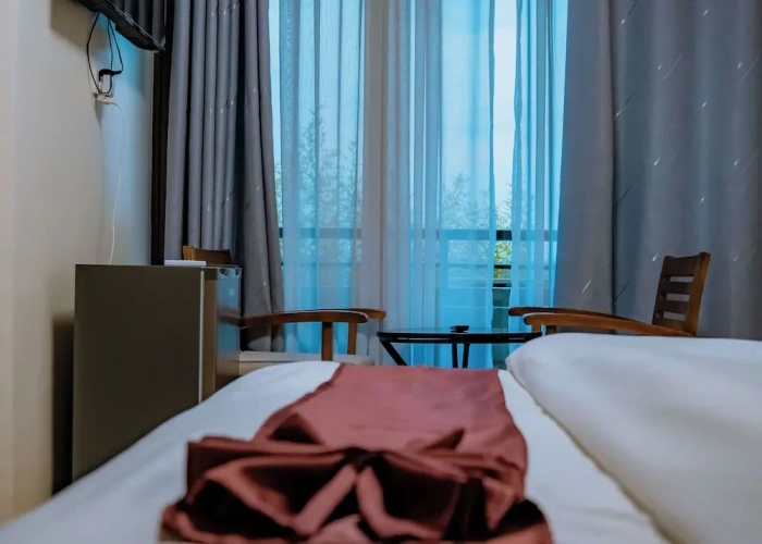 Deluxe Twin room with balcony and with city view