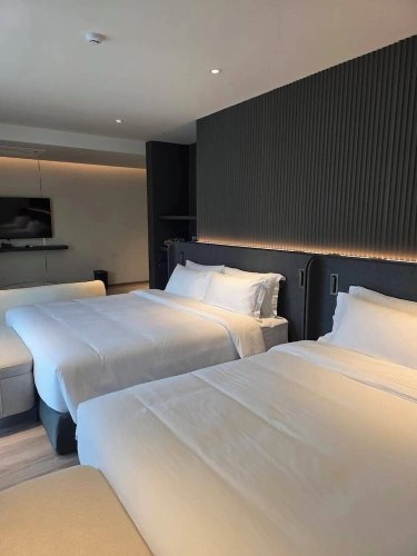 Deluxe Double room with balcony and with pool view