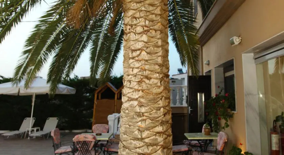 Hotel Holidays
