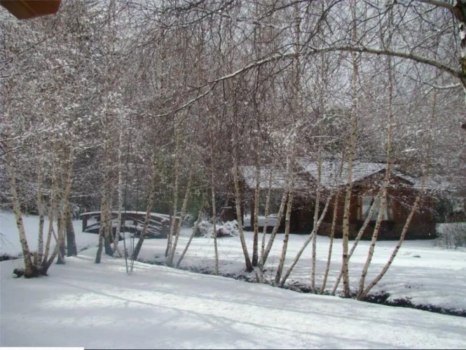 Bungalow