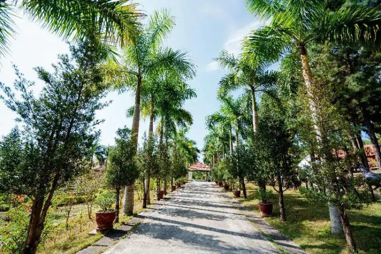 Bai Tu Long Mountain Resort