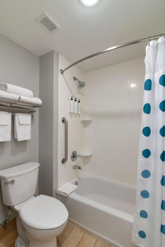 Quadruple Suite