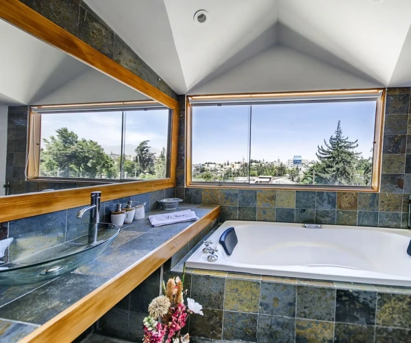 Deluxe Double room with balcony