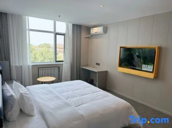 Comfort Suite