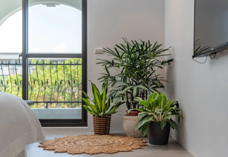 Olivia Boutique Hotel