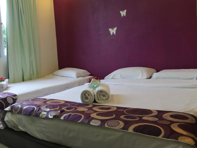 C Hotel