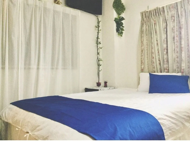 Asakusa Hotel 301