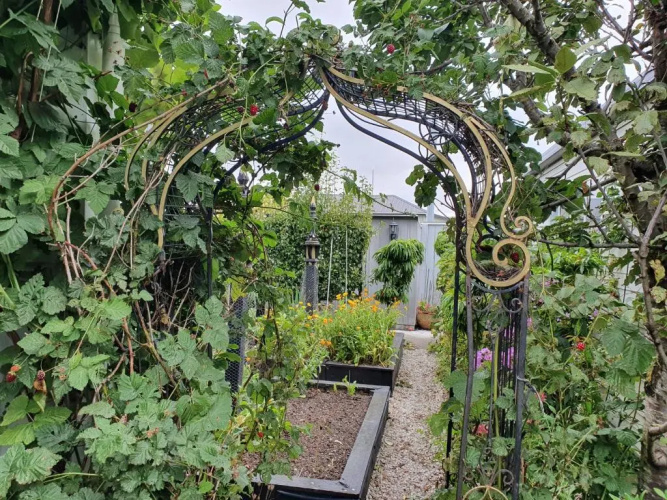 Dalkeith Boutique Bed & Breakfast
