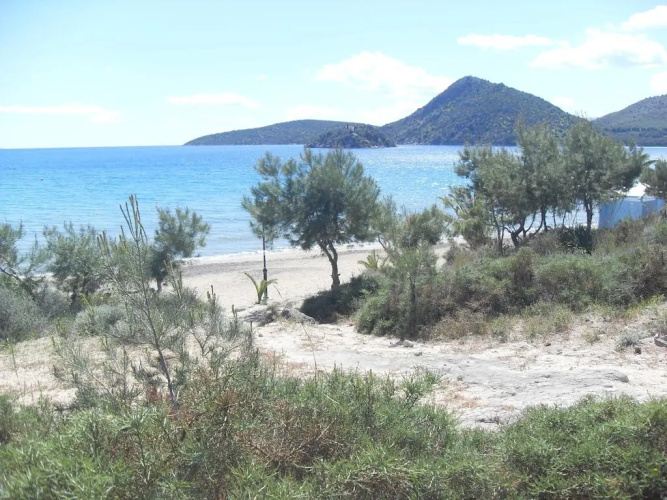 Hotel Pavlos & Studios